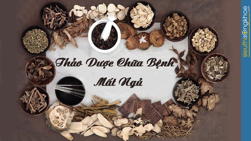 thao-duoc-chua-benh-mat-ngu