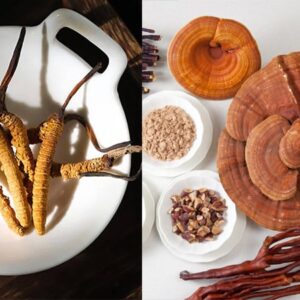 NẤM - ĐÔNG TRÙNG HẠ