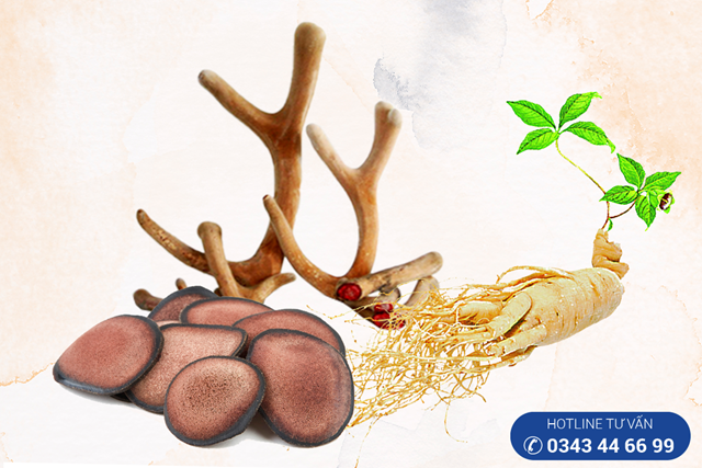 Nhân sâm - Nhung hưu